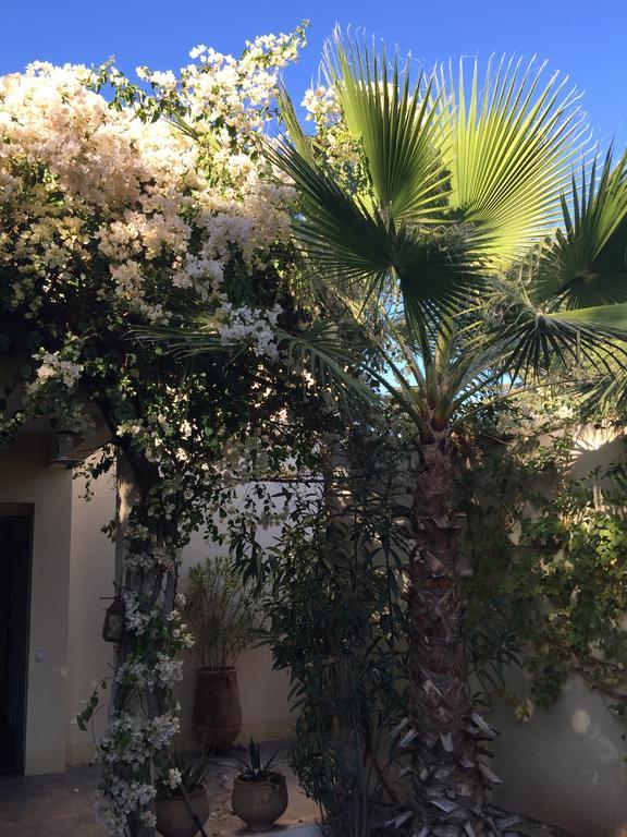 Cosy Douar Touggana